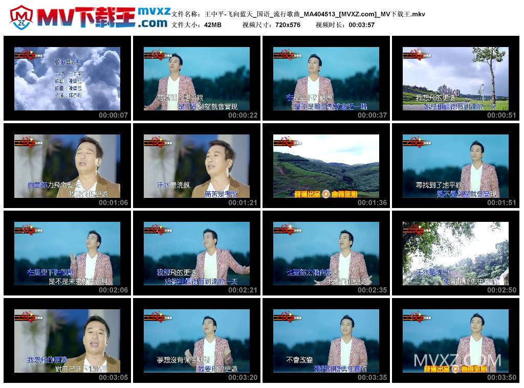 王中平-飞向蓝天_国语_流行歌曲_MA404513